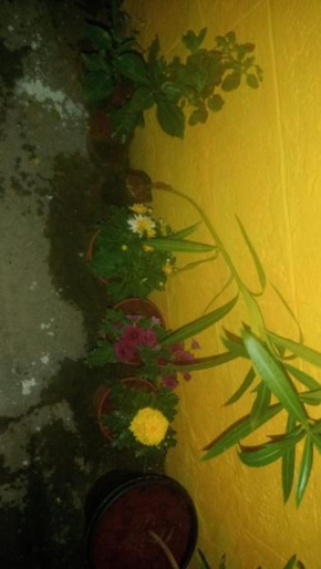 Mithu's Nest-Ur Holiday Abode